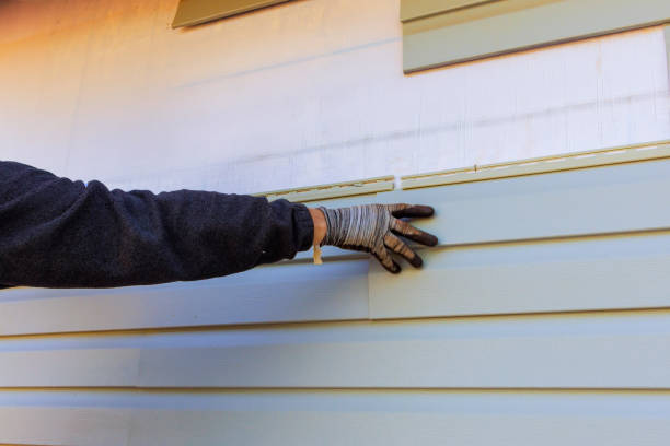 Trusted Curwensville, PA Siding Experts